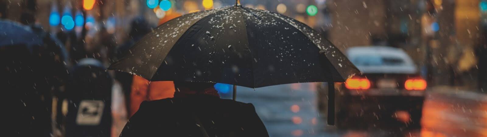Law Society of NSW External Examiner Update to be released in March