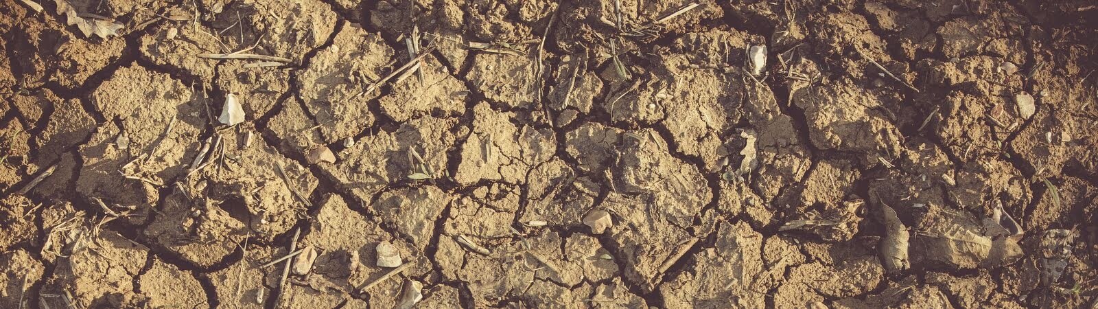 Emergency Drought Relief for farmers