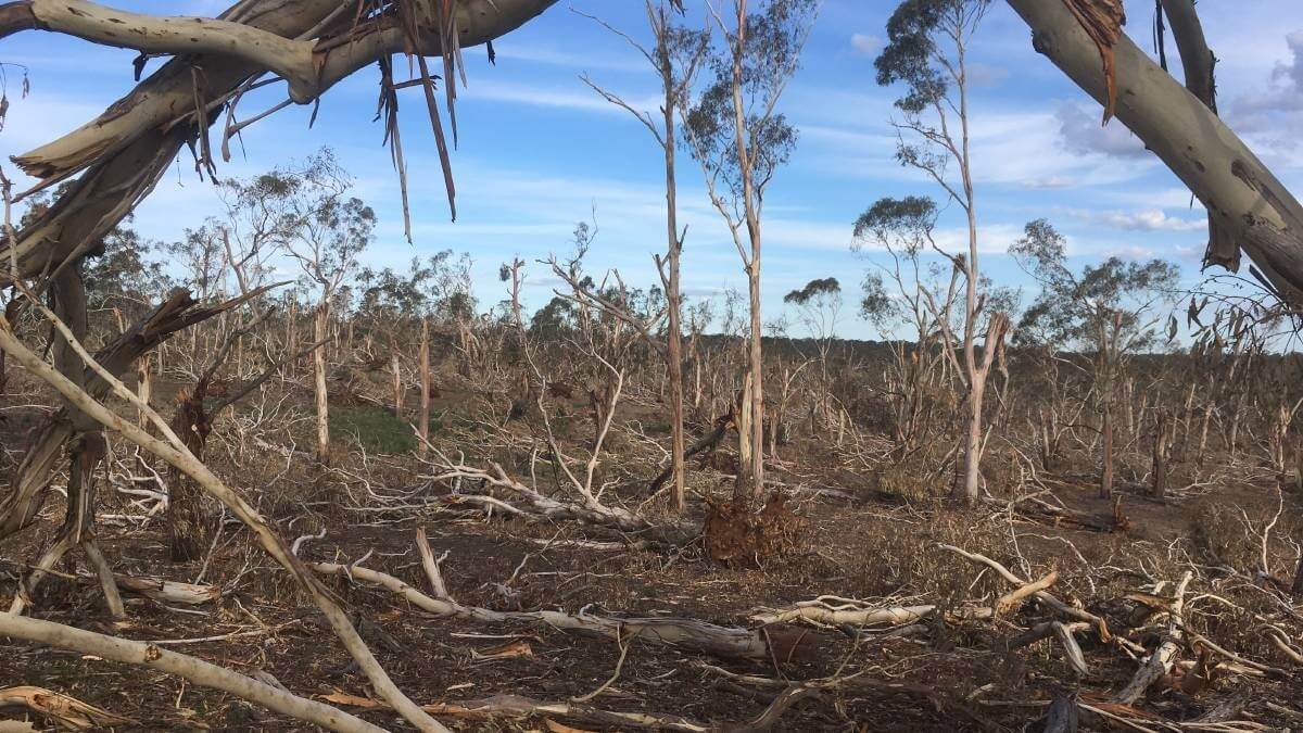 Disaster Assistance Announced for New England North West Storms