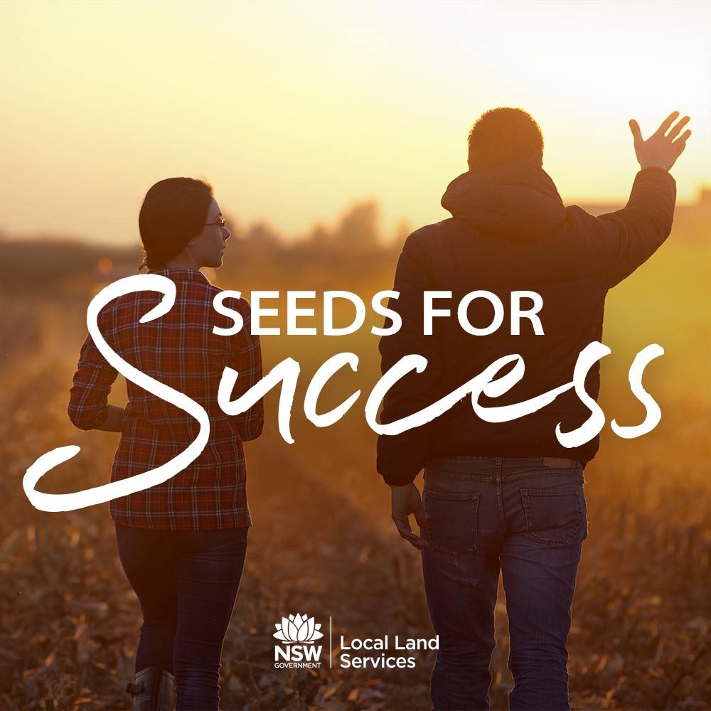 Sowing Seeds for Success