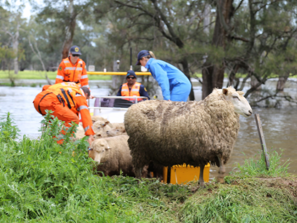 Disaster Recovery Assistance – What Support is Available?